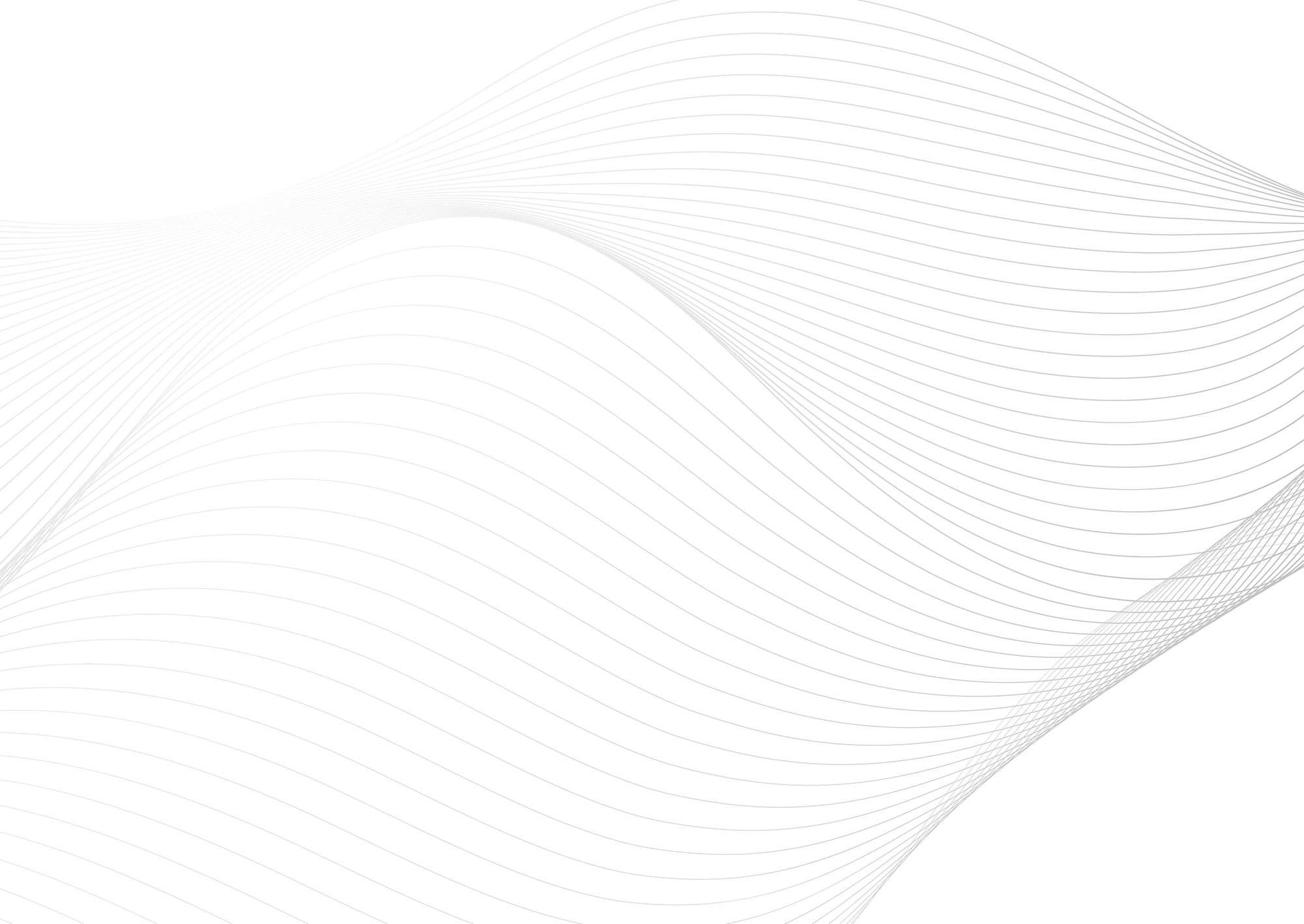 Web Site Tasarımcısı, Ağlı